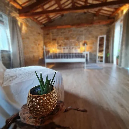 Casa Villanova Homes