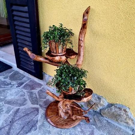 Casa Villanova Homes