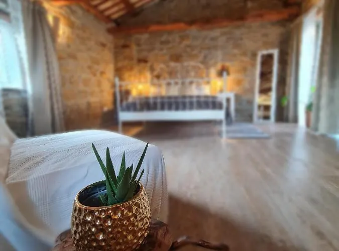 Casa Villanova Homes