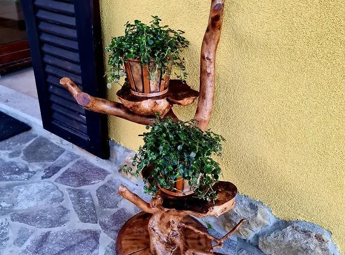 Casa Villanova Homes